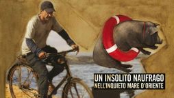 Un insolito naufrago nell'inquieto mare d'Oriente