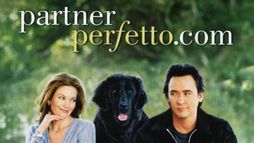 Partnerperfetto.com
