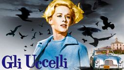 Gli uccelli