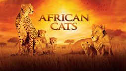 African Cats