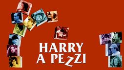 Harry a pezzi