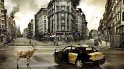 The Last Days