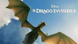 Il drago invisibile