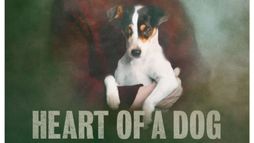 Heart of a Dog