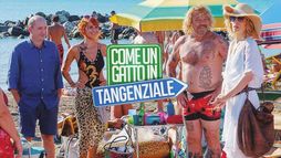 Come un gatto in tangenziale