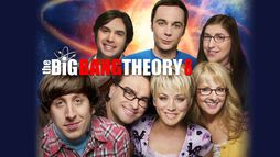 Big Bang Theory 8