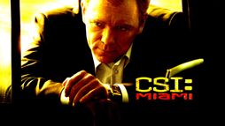C.S.I. Miami 2