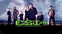 C.S.I. Scena del crimine 4