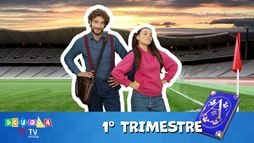 Scuola TIMVISION - Terza Elementare - Primo Trimestre