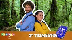 Scuola TIMVISION - Seconda Elementare - Secondo Trimestre