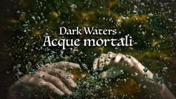 Dark waters - Acque mortali