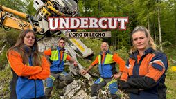 Undercut: l’oro di legno