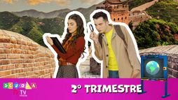 Scuola TIMVISION - Quarta Elementare - Secondo Trimestre