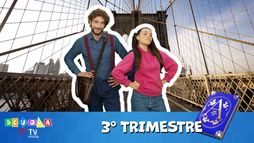 Scuola TIMVISION - Terza Elementare - Terzo Trimestre
