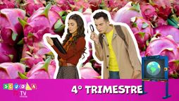 Scuola TIMVISION - Quarta Elementare - Quarto Trimestre