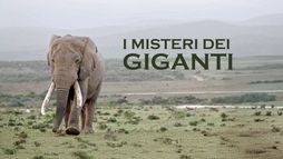 I misteri dei giganti