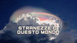 Stranezze di questo mondo