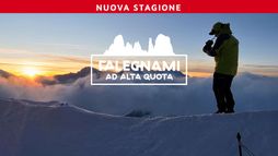 Falegnami ad Alta Quota