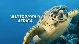 Waterworld Africa