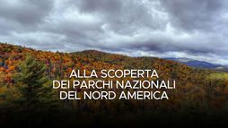 Alla scoperta dei parchi nazionali del Nord America