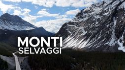 Terre di confine
