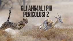 Gli animali piu' pericolosi