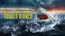 Nelle fauci dello squalo bianco