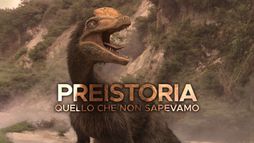 Preistoria - Quello che non sapevamo