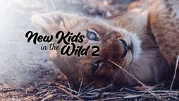 New kids in the wild 2