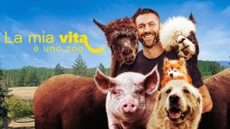 La mia vita è uno zoo