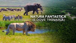 Natura fantastica (e dove trovarla)