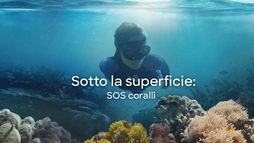 Sotto la superficie: SOS coralli