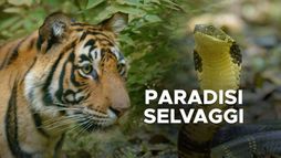Paradisi selvaggi (T. Barton-Humphreys)