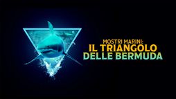 Mostri marini: il Triangolo delle Bermuda