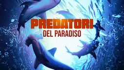 Predatori del Paradiso