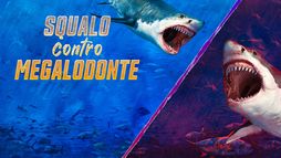 Squalo Contro Megalodonte
