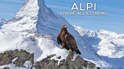 Alpi: Vivere all'estremo