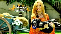Dalla parte degli animali
