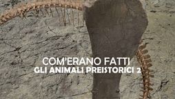 Com'erano fatti gli animali preistorici