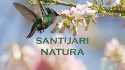 Santuari della natura
