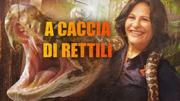 A caccia di rettili