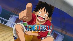 One Piece 17