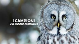 I campioni del regno animale 2