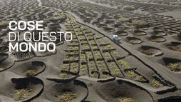 Cose di questo mondo: Spagna