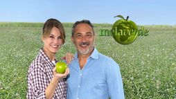 Melaverde