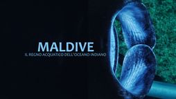 Maldives: Water kingdom of the Indian Ocean