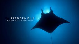 Il Pianeta Blu: la storia naturale degli oceani