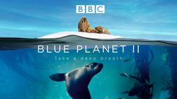 Il Pianeta blu