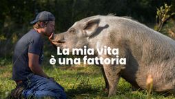 La mia vita è una fattoria