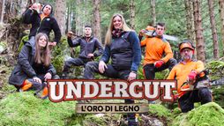 Undercut: l'oro di legno